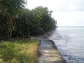 P3040232